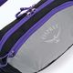 Sac de rinichi Osprey Daylite Waist 2L gri-violet 10004202 4