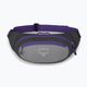 Sac de rinichi Osprey Daylite Waist 2L gri-violet 10004202 9