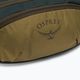 Osprey Daylite Waist Waist 2L verde rinichi sac 10004622 6