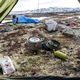 Set de vase de gătit pentru drumeții Pinguin Solo gri PI02005 4