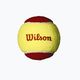 Set de mingi Wilson Starter Red Tballs 12 buc. galben/roșu WRT137100 2