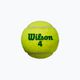 Set de mingi de tenis pentru copii Wilson Starter Play Green 4 buc galben WRT137400 3