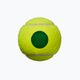 Set de mingi de tenis pentru copii Wilson Starter Play Green 4 buc galben WRT137400 4