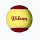 Wilson Starter Red Tball set de mingi de tenis pentru copii 3 buc. galben/roșu 2000031175 2