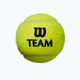 Wilson Team Practice mingi de tenis de antrenament 4 buc galben WRT111900 2