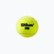 Wilson Tour Premier All Ct set de mingi de tenis 4 buc. galben WRT119400 3