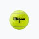 Set de mingi de tenis Wilson Roland Garros Clay Ct 3 buc galben WRT125000 3