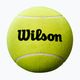 Minge de tenis pentru autografe Wilson Roland Garros Mini Jumbo 5" yellow