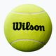 Mnge de tenis pentru autografe Wilson Roland Garros Jumbo 9" yellow