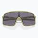 Ochelari de soare Oakley Sutro S mat ferigă/grizonat mat 5