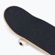 Skateboard clasic Chocolate Cruz Chunk maroon CC4117G008 6