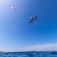 DUOTONE Dice Dice SLS zmeu kitesurfing kitesurfing roșu 44230-3012 2