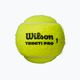 Mingi de tenis Wilson Triniti Pro Tball 4 buc galben WR8204801001 2