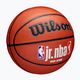 Minge de baschet Wilson NBA JR Fam Logo Indoor Outdoor brown mărime 6 2