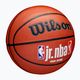 Minge de baschet pentru copii Wilson NBA JR Fam Logo Indoor Outdoor brown mărime 5 2