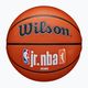 Minge de baschet Wilson NBA JR Fam Logo Authentic Outdoor brown mărime 6