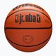 Minge de baschet Wilson NBA JR Drv Fam Logo brown mărime 6 5