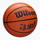 Minge de baschet pentru copii Wilson NBA JR Drv Fam Logo brown mărime 5 2