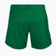 Pantaloni scurți de antrenament pentru femei Joma Short Paris II verde 900282.450 2