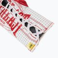 Mănuși de box  Everlast Fight Leather red 6