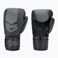 Mănuși de box Everlast Prospect 2 black 3