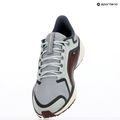 Nike Pegasus 41 GTX pantofi de alergare pentru bărbați light pumice/ burgundy crush/ dark smoke grey/ ashen slate 9