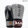 Mănuși de box RAJA BOXING "Porshe Design" 8