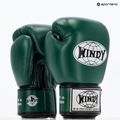 Mănuși de box WINDY Classic Genuine Leather green 8