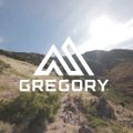 Rucsac de drumeții Gregory Kiro 20 l RC legion blue 4