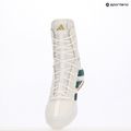 Încălțăminte de box adidas Box Hog 4 cloud white/collegiate green/core black 19