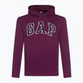 Bluză pentru bărbați GAP V-Heritage Logo PO SNL beach plum 2