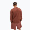 Hanorac pentru bărbați GAP Logo Crewneck burnt russet 2