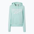Tricou pentru femei Reebok Identity Big Logo Fleece glitch aqua 5