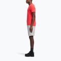 Pantaloni scurți de antrenament pentru bărbați Reebok Identity Small Logo Fleece medium grey heather/vector red 2