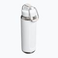 Sticlă termică Stanley Classic Wellspring frost 2