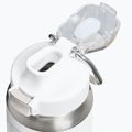 Sticlă termică Stanley Classic Wellspring frost 3