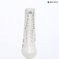 Încălțăminte de box adidas Box Hog 4 white/silver 9