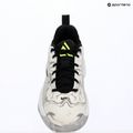 Încălțăminte de baschet pentru bărbați Nike Giannis Immortality 5 white/off white/metallic silver 16
