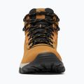 Încălțăminte de trekking pentru bărbați Columbia Newton Ridge Plus II Wp elk/black 10