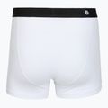 Boxeri pentru bărbați Stance Standard 4IN white 2