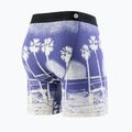 Boxeri pentru bărbați Stance In Paradise Brief blue 2
