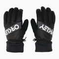 Mănuși de schi pentru bărbați Oakley Factory Winter Gloves 2.0 blackout 3