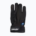 Mănuși de schi pentru bărbați Oakley Factory Winter Gloves 2.0 blackout 7