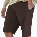 Pantaloni scurți de ciclism pentru bărbați Fox Racing Ranger cocoa 3