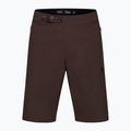 Pantaloni scurți de ciclism pentru bărbați Fox Racing Ranger cocoa 5