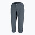 Pantaloni de trekking pentru femei Columbia Silver Ridge 2.0 gri 1842133 10