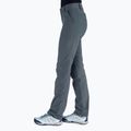 Pantaloni de trekking pentru femei Columbia Silver Ridge 2.0 gri 1842133 2