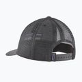Șapcă Patagonia P-6 Logo LoPro Trucker forge grey 2