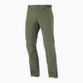 Pantaloni de trekking pentru bărbați Salomon Wayfarer verde LC1739200