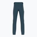 Pantaloni de trekking pentru bărbați Salomon Wayfarer albastru LC1713700 2